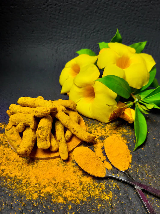 Serge Lebon - Curcuma en poudre, 80g